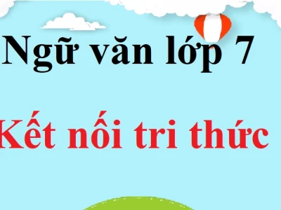 Phân tích tác phẩm trong lòng mẹ của Nguyên Hồng đầy đủ nhất