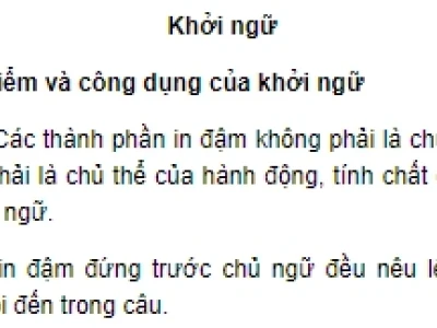 Soạn bài Khởi ngữ lớp 9 đầy đủ và chi tiết nhất