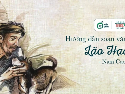 Soạn bài Lão Hạc: Phân tích chi tiết tác phẩm của Nam Cao