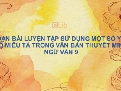Soạn bài lớp 9: Sử dụng yếu tố miêu tả trong văn bản thuyết minh