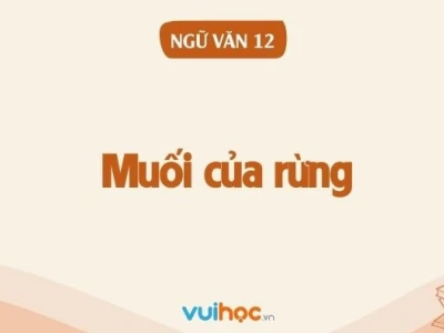 Soạn bài Muối của rừng Văn 12: Khám phá chiều sâu tác phẩm