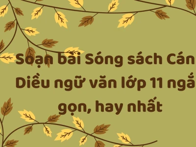 Soạn bài Sóng của Xuân Quỳnh Ngữ văn 11 chi tiết