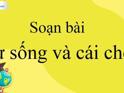 Soạn bài Sự sống và cái chết Văn 10: Phân tích sâu sắc và định hướng tư duy