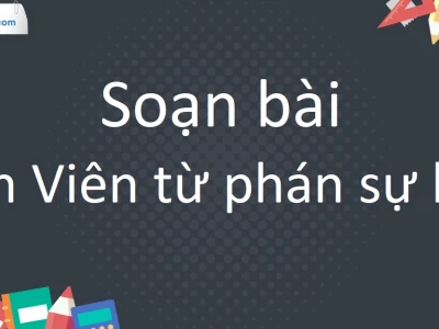 Soạn bài Tản viên từ phán sự lục: Phân tích chi tiết và dàn ý chuẩn