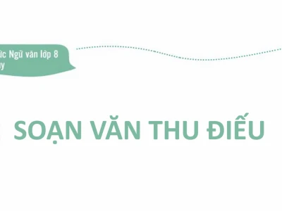 Soạn bài Thu điếu Ngữ văn lớp 8: Phân tích chi tiết