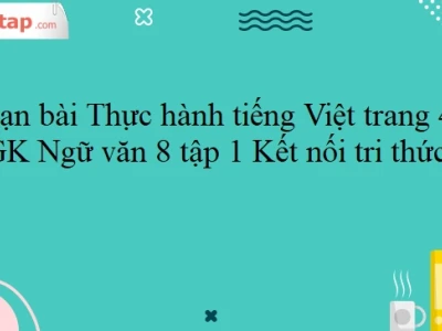 Soạn bài Thực hành Tiếng Việt trang 45 Ngữ văn 8 tập 1 (Kết nối tri thức)