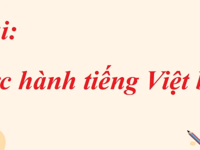 Soạn bài Thực hành Tiếng Việt trang 86 Ngữ văn lớp 8 Tập 1