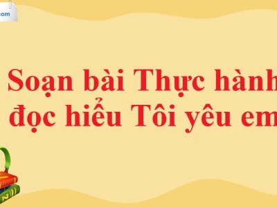 Soạn bài Tôi yêu em lớp 11 Ngữ văn Cánh Diều chi tiết
