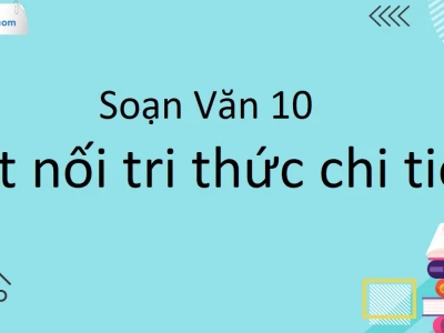 Soạn văn 10 bài 2: Khám phá vẻ đẹp của thơ ca