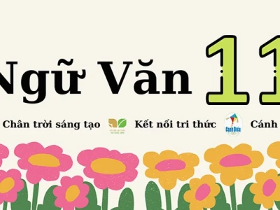 Soạn văn 11 tập 2: Hướng dẫn chi tiết và bài học bổ ích
