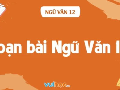 Soạn văn 12 bài 1: Khám phá khả năng lớn lao của tiểu thuyết