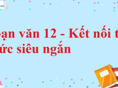 Soạn Văn 12 Kết Nối Tri Thức Ngắn Nhất 2026: Hướng Dẫn Chi Tiết