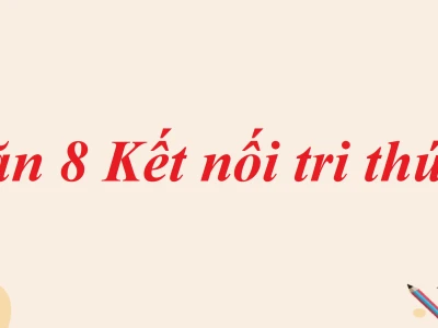 Soạn văn 8 kết nối tri thức tập 2: Hướng dẫn chi tiết và bài tập