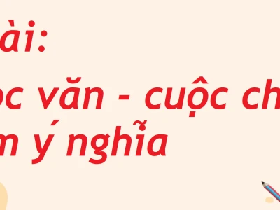 Soạn văn 8 tập 2 ngắn nhất: Hướng dẫn chi tiết và bài mẫu 2026