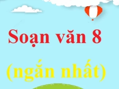 Soạn văn 8: Trường từ vựng - Khám phá sâu sắc ý nghĩa và cách vận dụng