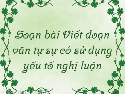 Soạn văn 9: Miêu tả trong văn bản tự sự chi tiết và chuyên sâu