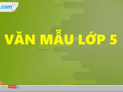 Tổng hợp các bài văn mẫu lớp 5 chuẩn chỉnh cho năm học 2026