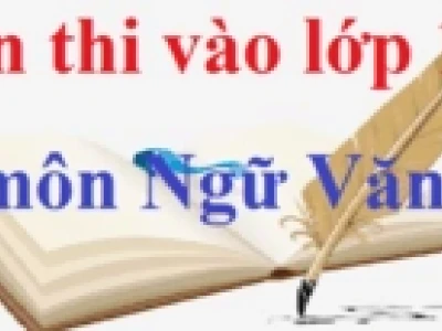 Tổng hợp các cách mở bài văn thuyết minh hay nhất
