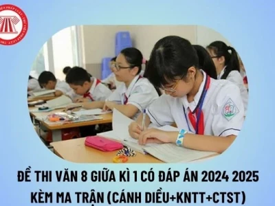 Tổng hợp những bài văn mẫu lớp 8 học kì 1 đầy đủ và chi tiết