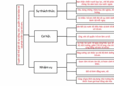 Tuyên bố Thế giới về Quyền Trẻ em: Bảo vệ và Phát triển Toàn diện