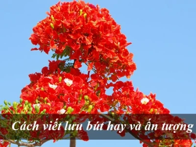 Tuyển tập văn mẫu lưu bút hay và ý nghĩa cho mọi dịp