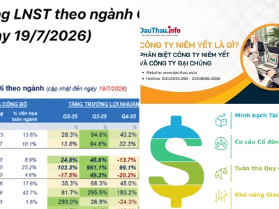 Phân tích cơ bản doanh nghiệp niêm yết để tối ưu lợi nhuận đầu tư