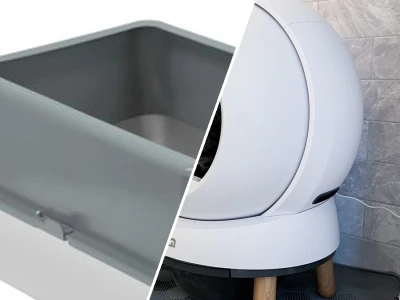 Best eco-friendly cat litter box alternatives for sustainable care