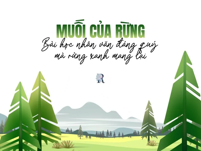 Soạn bài Muối của rừng 1