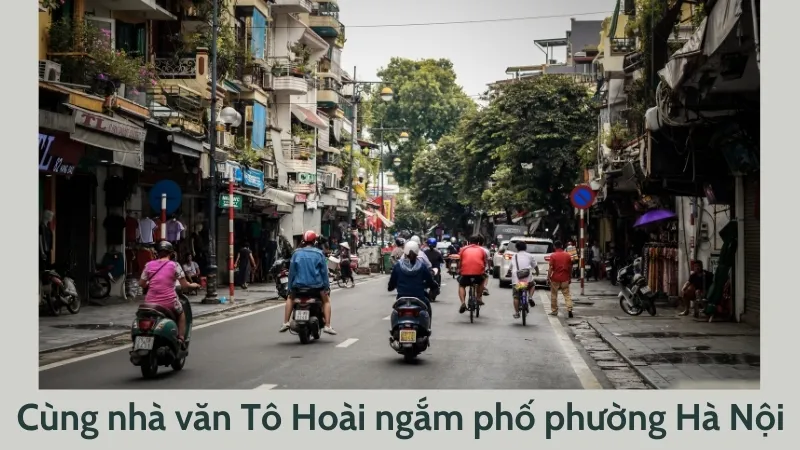 Soạn bài Cùng nhà văn Tô Hoài ngắm phố phường Hà Nội - Ngữ văn 9 - Cánh diều