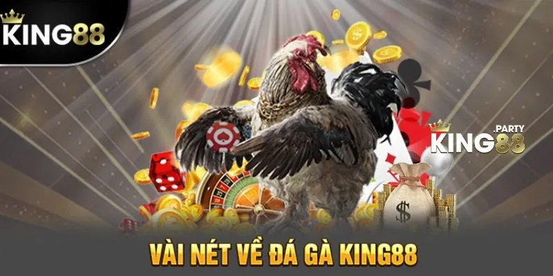 Đá gà trực tuyến King88 – sự khác biệt