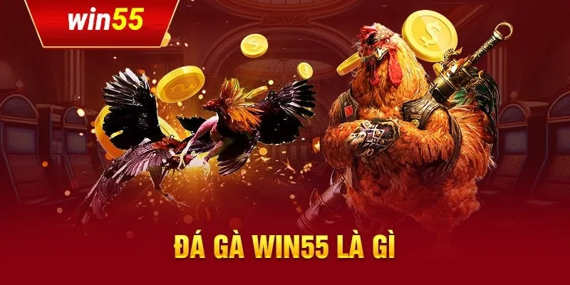 đá gà Win55 2