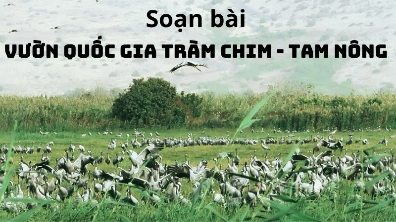 Soạn bài Vườn quốc gia Tràm Chim - Tam Nông - Ngữ văn 9 - Cánh diều