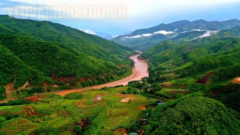 Phân tích bức tranh thiên nhiên trong bài thơ Tây Tiến lớp 12