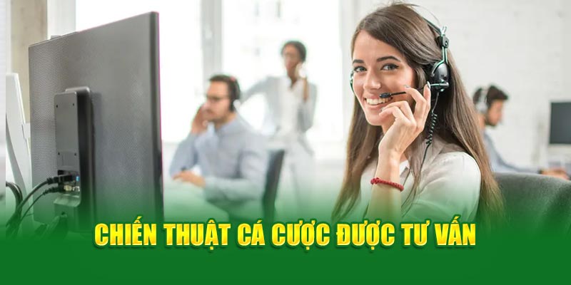 Ảnh: Chiến thuật cá cược được tư vấn