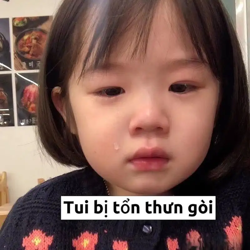 Ảnh meme mèo bựa giúp bạn thư giãn và cười thoải mái