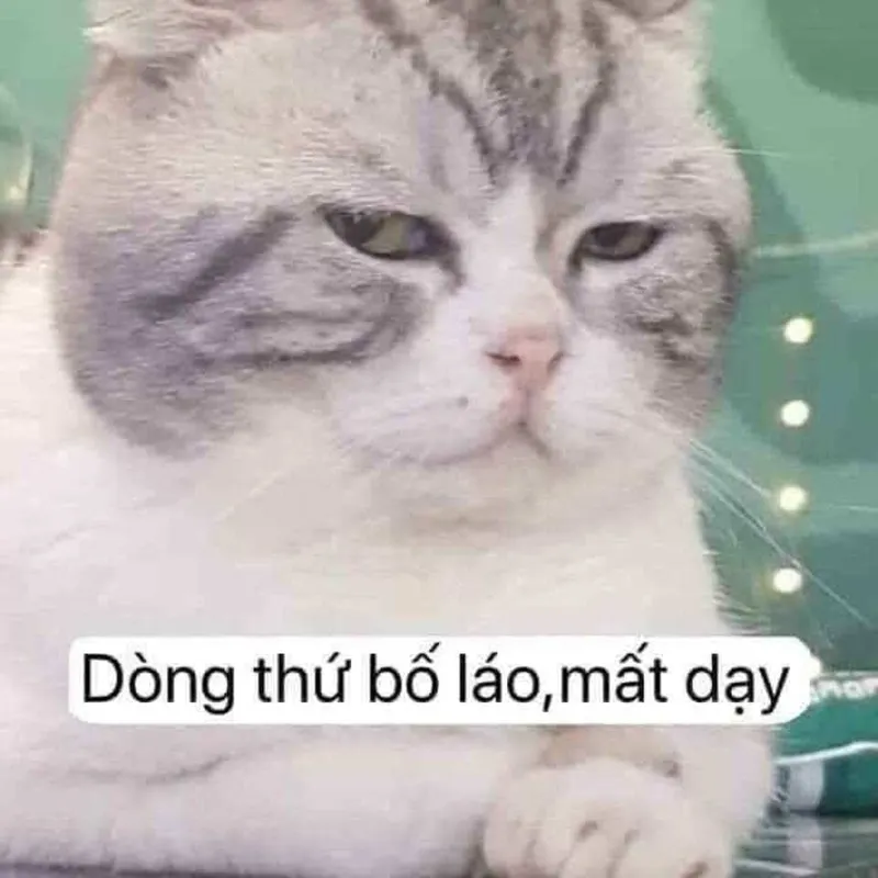 Meme chửi bậy luôn tạo ra những tiếng cười sảng khoái