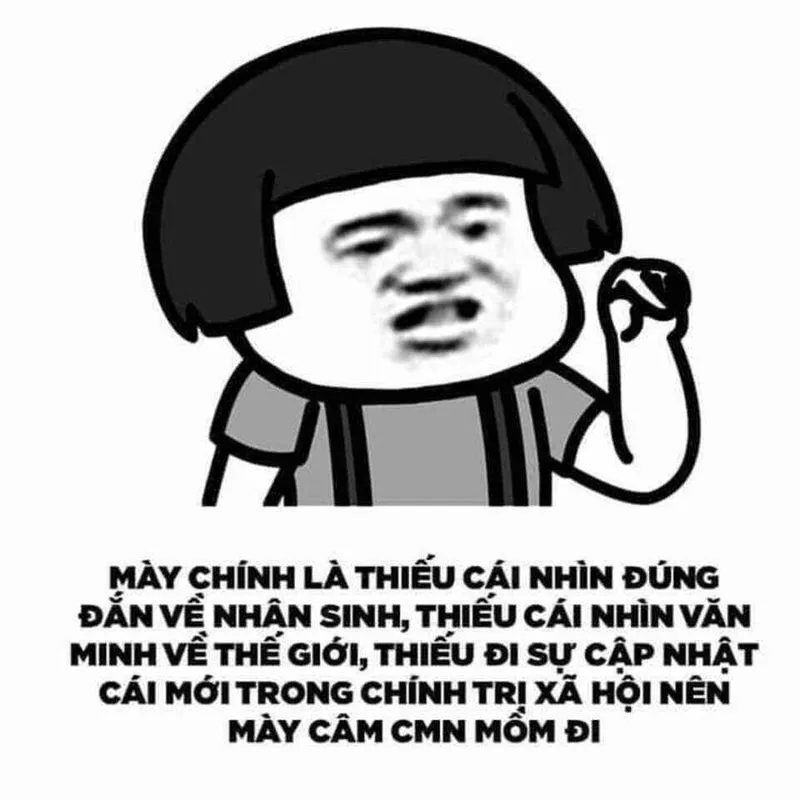 Meme mèo chửi luôn khiến người xem thích thú với sự dễ thương