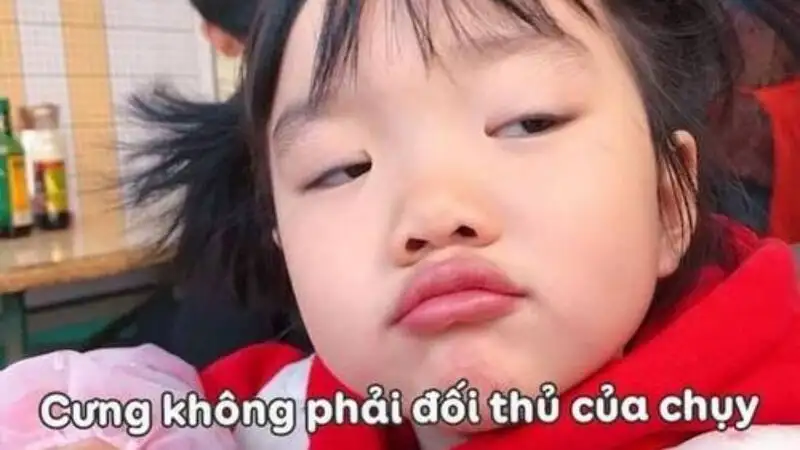 Meme ok cute mang lại niềm vui cho ngày mới