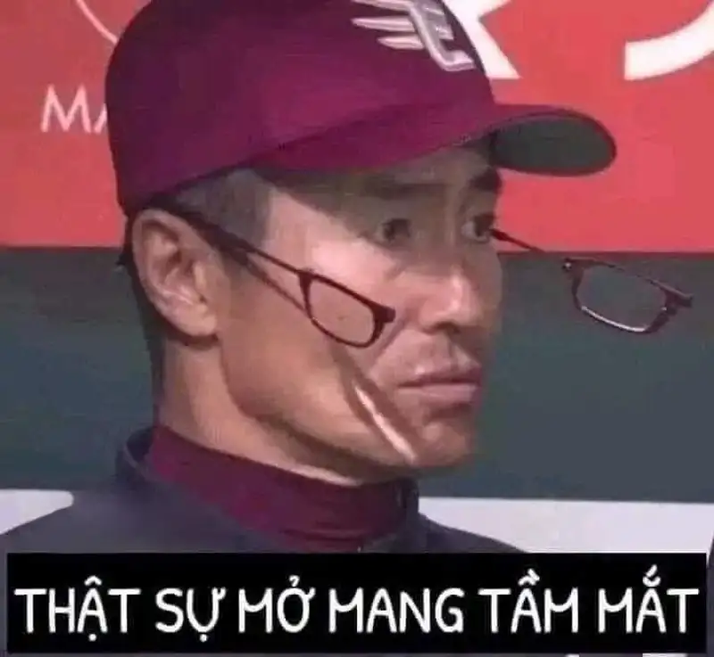 Bựa meme mèo cute khiến bạn không thể nhịn cười