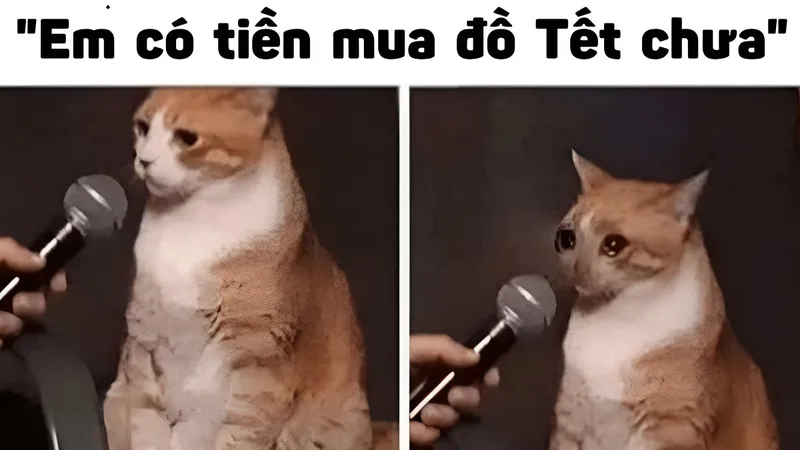 Ảnh Tết meme mang đến những khoảnh khắc vui vẻ cho ngày lễ