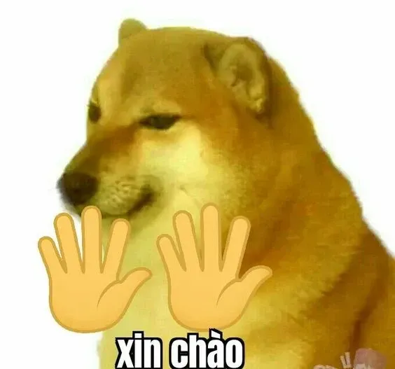 Chào bạn với meme xin chào cute, mang đến niềm vui mỗi ngày