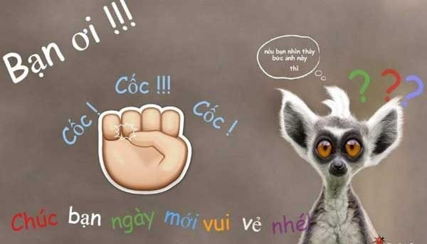 Chào buổi sáng meme mang đến năng lượng tích cực cho một ngày mới