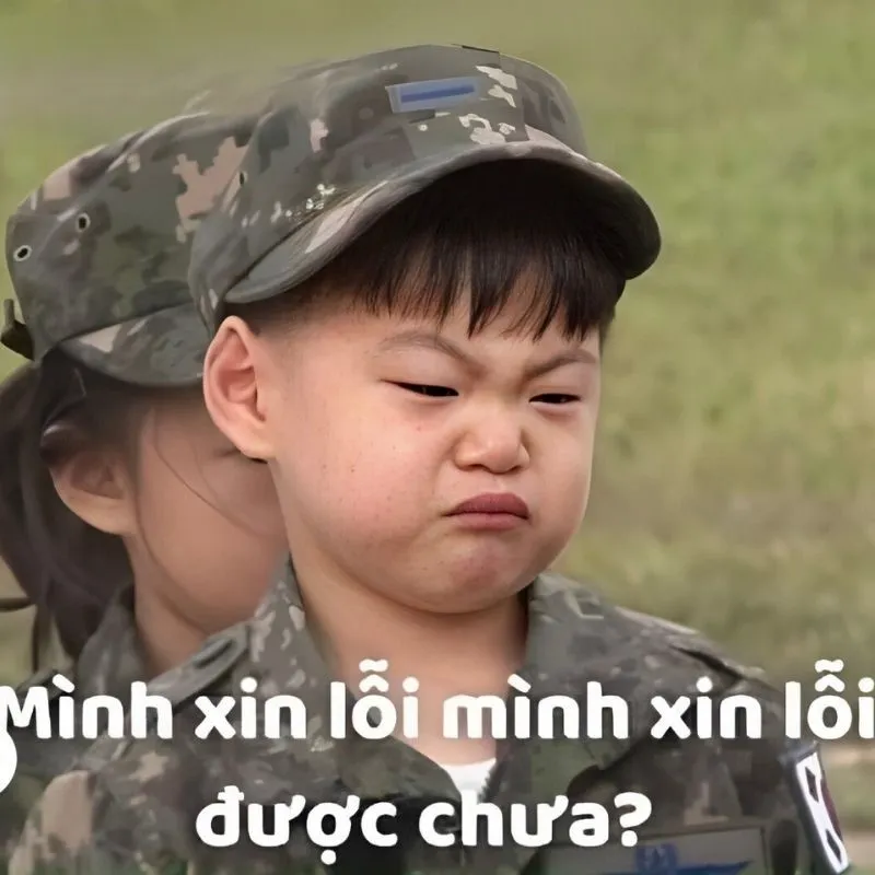 Meme mèo cute xin lỗi là lựa chọn tuyệt vời để xin lỗi người yêu một cách dễ thương