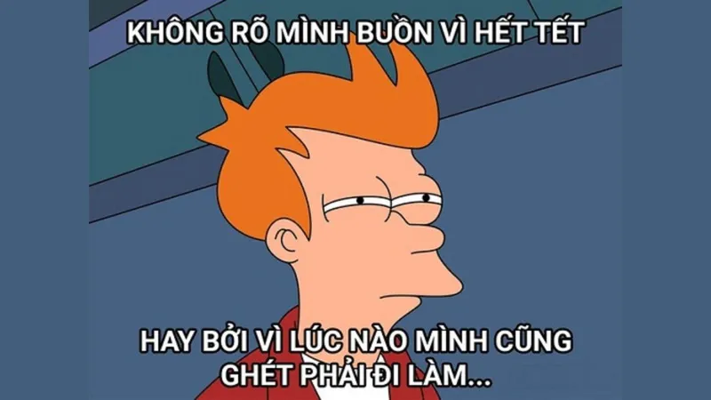 Ảnh mèo meme Tết luôn thu hút sự chú ý của người hâm mộ