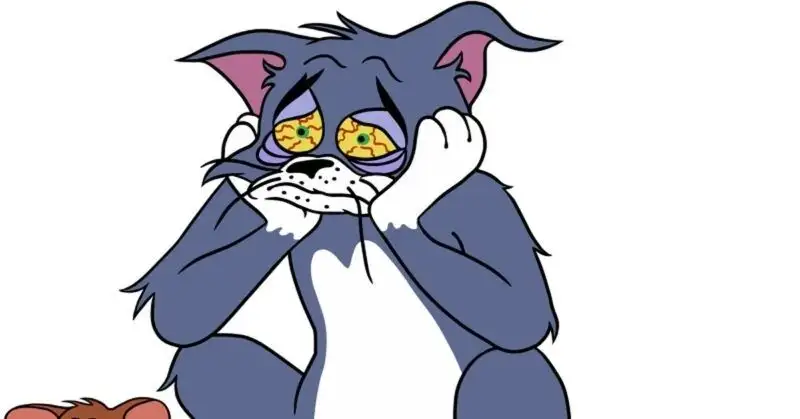 Tom and jerry face meme mang lại những kỷ niệm tuổi thơ