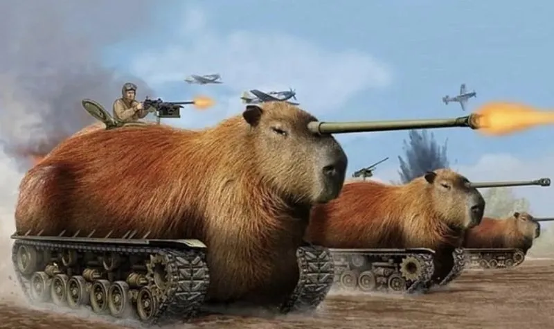 Capybara meme cute là hình ảnh đáng yêu cho fan yêu thích