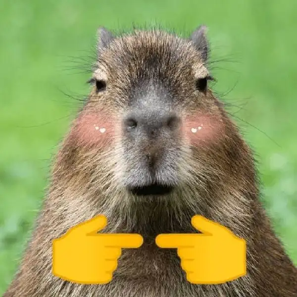 Buff capybara meme mang đến sự hài hước độc đáo