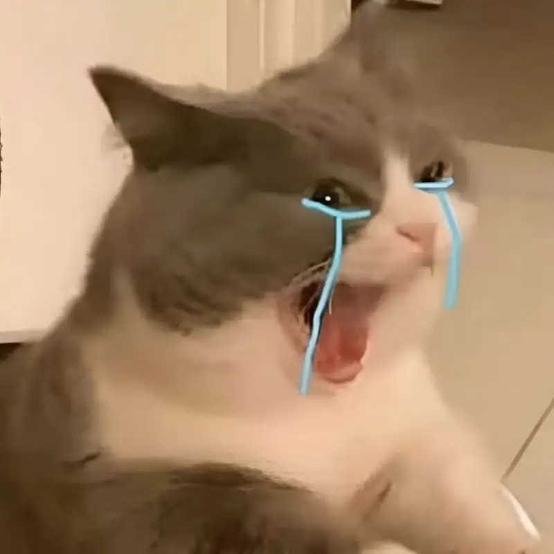 Meme crying cat lan tỏa cảm xúc bi hài trên mọi nền tảng