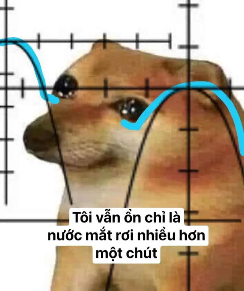 Meme cô gái khóc thể hiện nỗi buồn chân thật