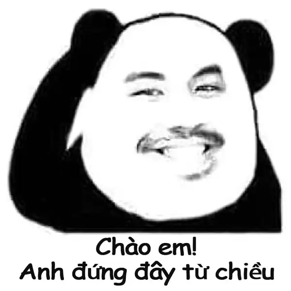 Mèo chào meme này khiến mọi người cảm thấy dễ chịu và vui vẻ